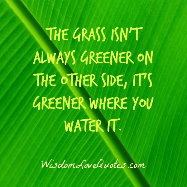 The Grass isn't always greener on the other side