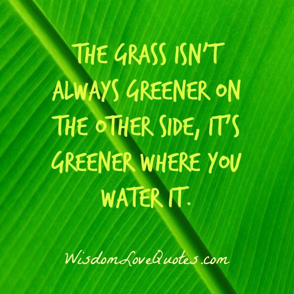 The Grass isn’t always greener on the other side