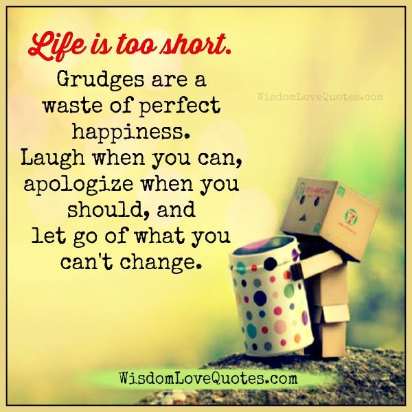 Grudges are a waste of perfect happiness